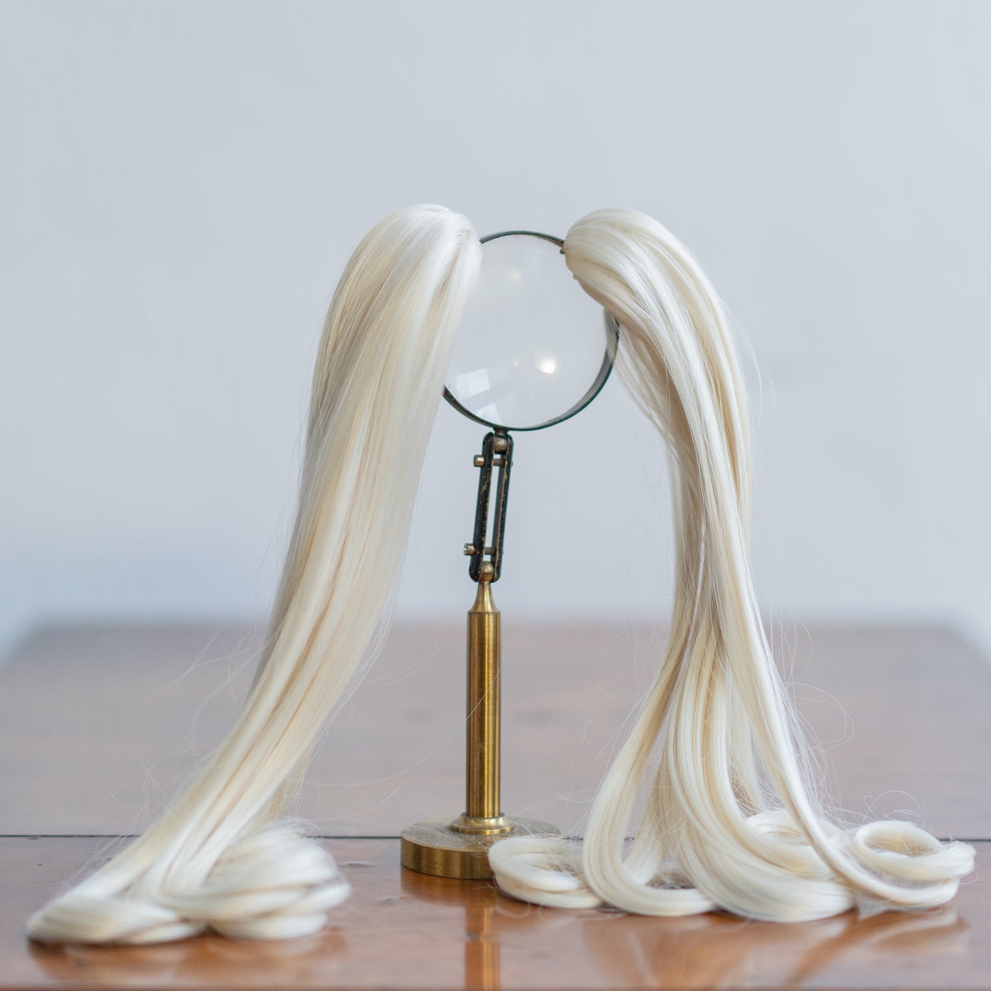 8-9" Gossamer Mimosa